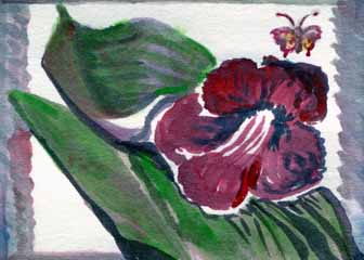 "Streptocarpus #2" by Mary Lou Lindroth, Rockton IL - Watercolor